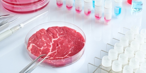 Urzędowe badanie mięsa - wykaz lekarzy weterynarii