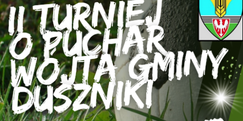 II Turniej o Puchar Wójta Gminy Duszniki 02.08.2025r. (sobota)