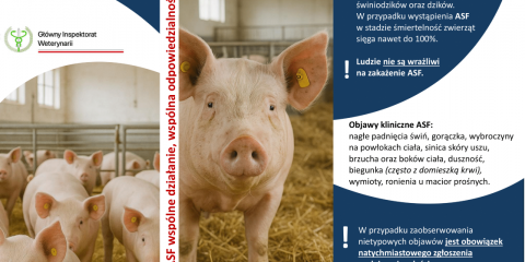 "ASF – wspólne działanie, wspólna odpowiedzialność"