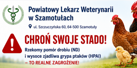 Powiatowy Inspektorat Weterynarii w Szamotułach apeluje o zachowaniu ostrożności przy zakupie drobiu - CHROŃ SWOJE STADO!