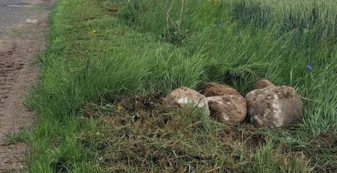 Prośba do rolników, mieszkańców Gminy Duszniki