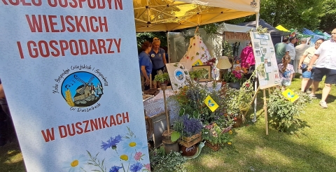 Opis zdjęcia