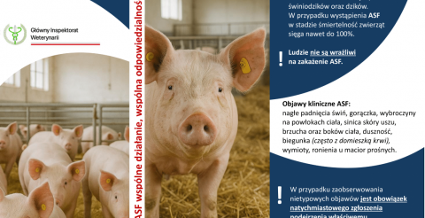 "ASF – wspólne działanie, wspólna odpowiedzialność"