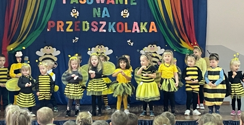 Uroczystość pasowania przedszkolaków w Sędzinku