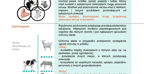 Opis zdjęcia